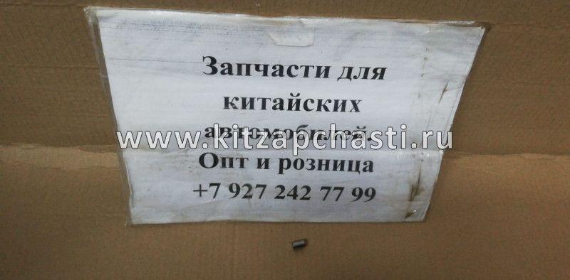 РОЛИК СИНХРОНИЗАТОРА 2-3 ПЕРЕДАЧИ BAW Fenix 1065 Евро 3 LG520-1701308B1